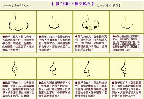 鼻子 面相|麦玲玲面相讲座之 鼻子 – 人相学